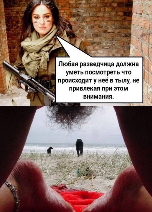 Так себе картинки 07.10.25