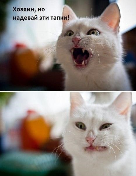 Чёрный юмор