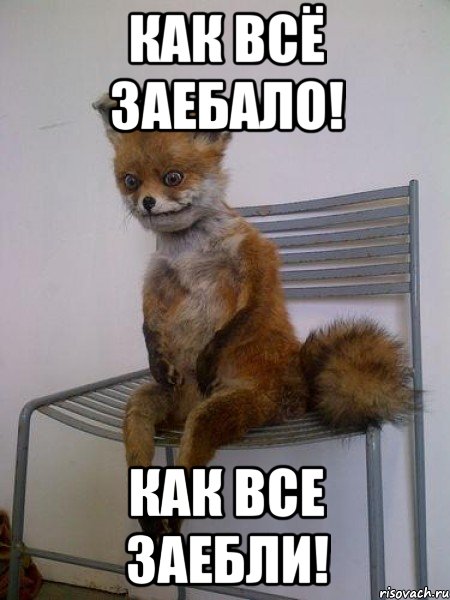Веселые картинки в понедельник (12.01)