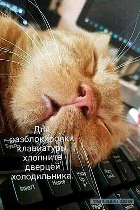 Девушки бывают разные (20.01)