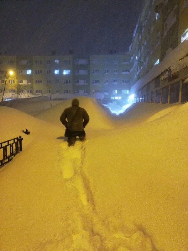 Прикольные и просто красивые картинки 30.01.2026