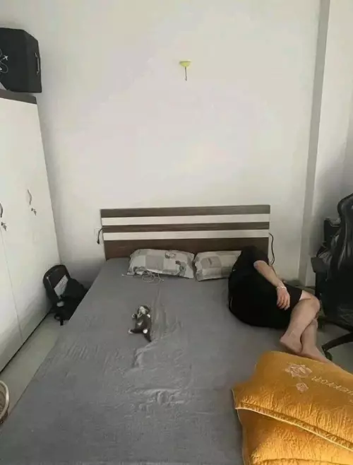 Картиночки, баянчики 25 февраля