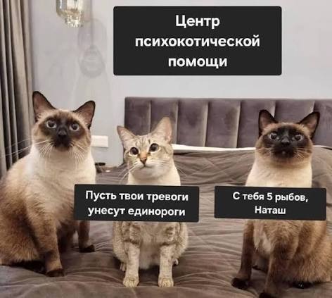 Найди себе уже мужика, Наташа!