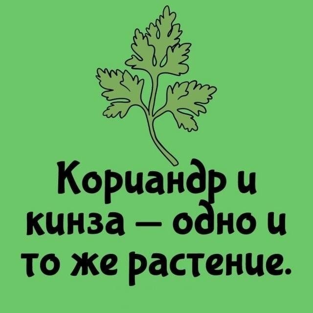 Интересные и короткие факты,на все случаи жизни 23.10.26