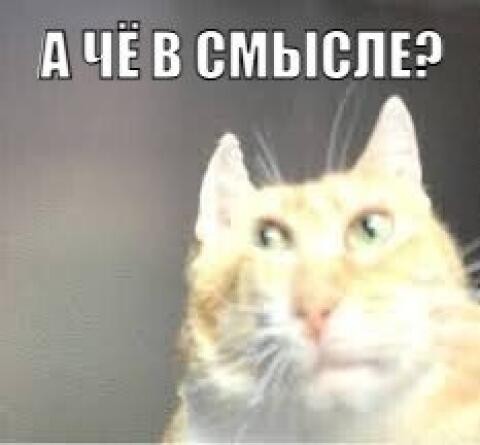 «Муж не растет»