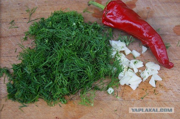 Ракушки фаршированные, Подосиновиками и курицей