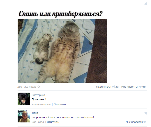 Смешные комментарии из социальных сетей