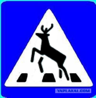 Берегись автомобиля.