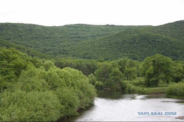 Природа Приморского края