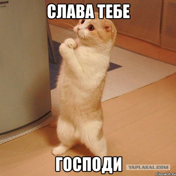 Оно не любит Путина