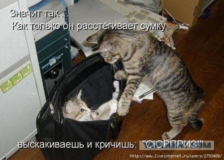 Чёрт, чёрт, чёрт!