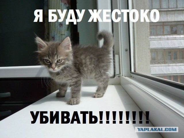 Свежие картинки из сети