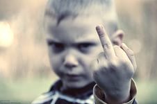 Запад поражен: Образованные россияне массово