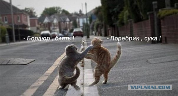 Заблуждения о Санкт-Петербурге