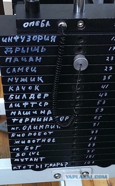 Картинки из сети