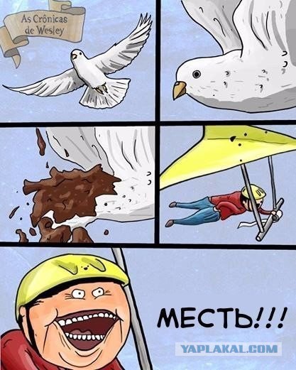 Забавные картинки из Сети