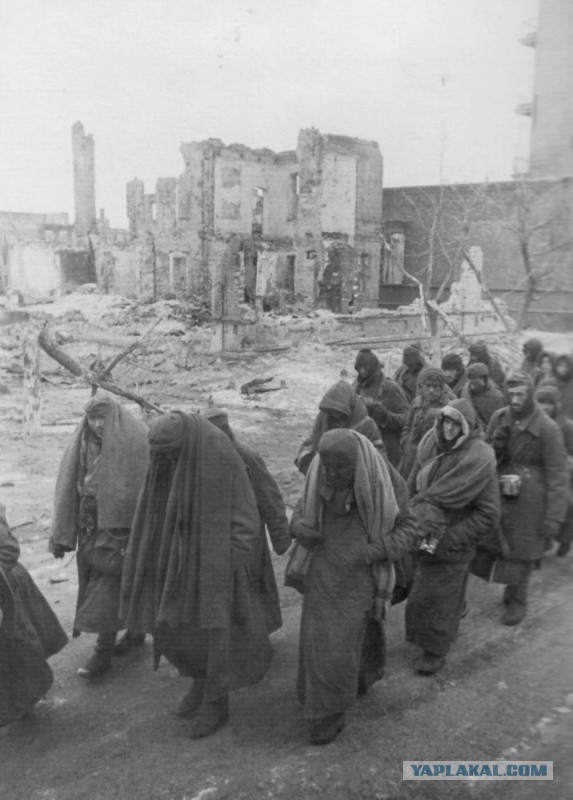 Как сдавались в плен во Второй мировой войне