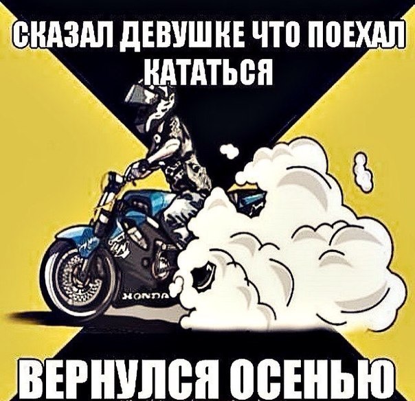 Прикольные картинки из сети