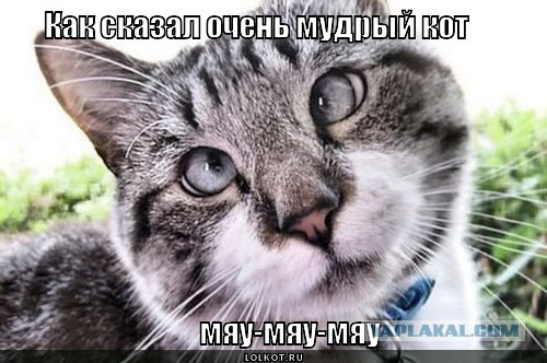 Как я с ума сходил