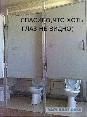 Картинки из сети