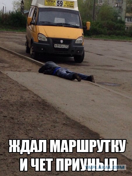 Веселые картинки