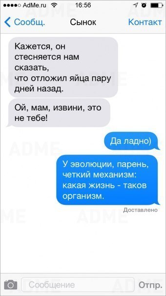 Ужасы и приколы из соцсетей 18+