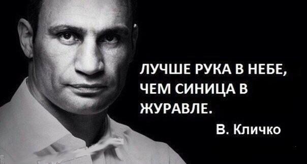 Кличко vs Галыгин, кто победил?