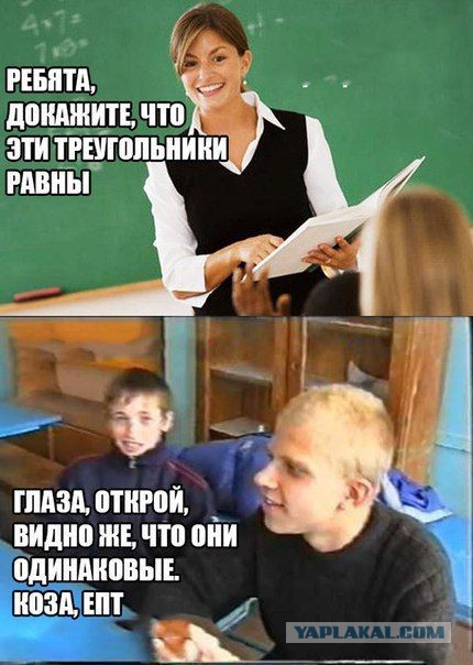 Приколы из сети