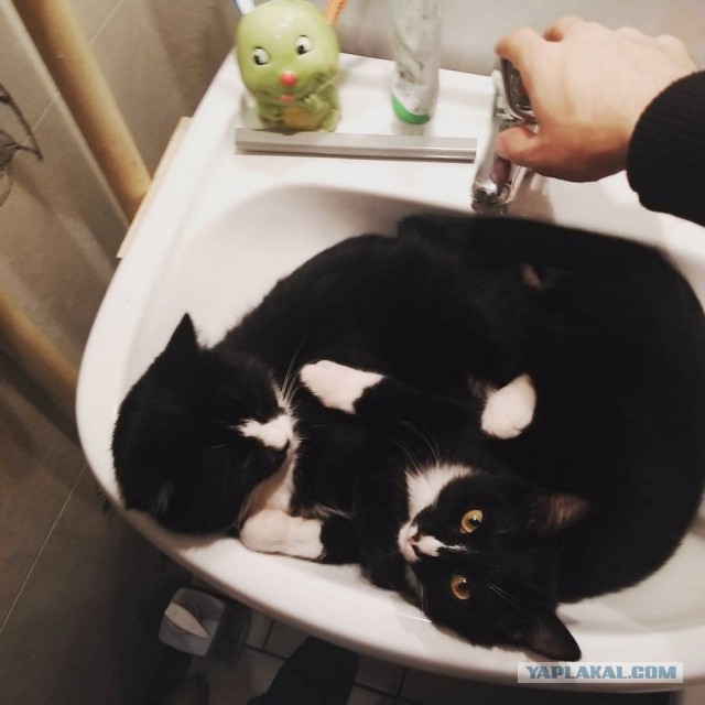 Подборка интересных и веселых картинок