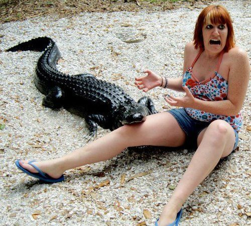 Подборка интересных и веселых картинок