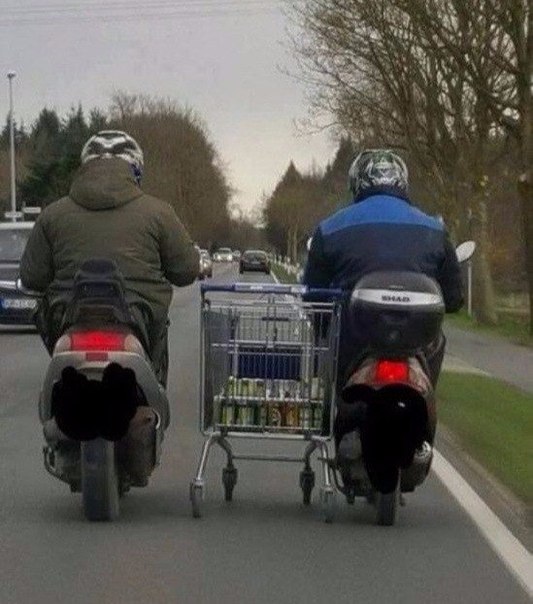 Подборка интересных и веселых фото