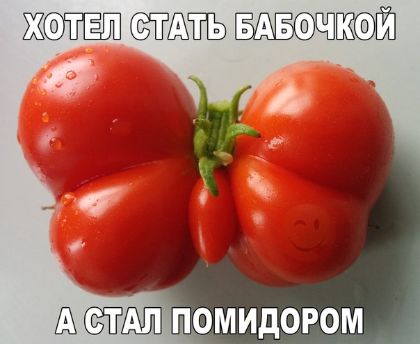 Подборка интересных и веселых картинок