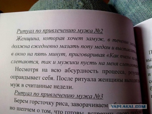 Вот так загорают в Новосибирске