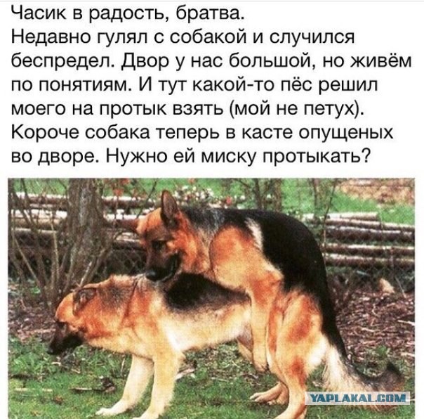 В поиске своего арестанта