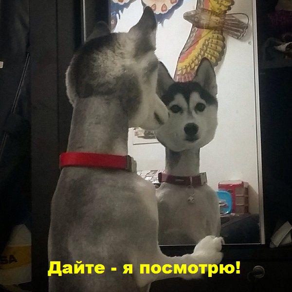 "Какая же я п*здатая!"