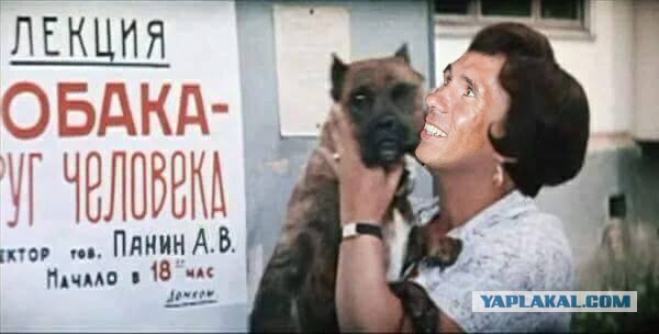 Панин ответил про собаку