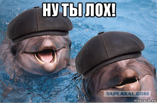 "Вопли Видоплясова" сообщают: Россия за триста лет уничтожила сотни миллионов украинцев