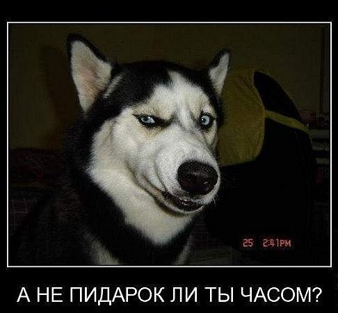 Старые добрые демотиваторы