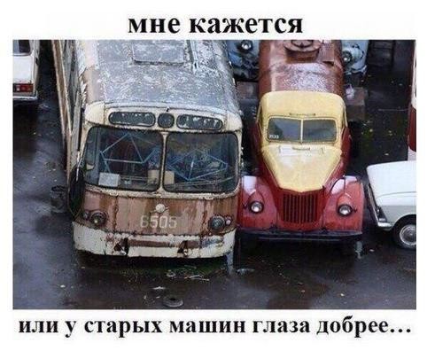 Прикольные картинки