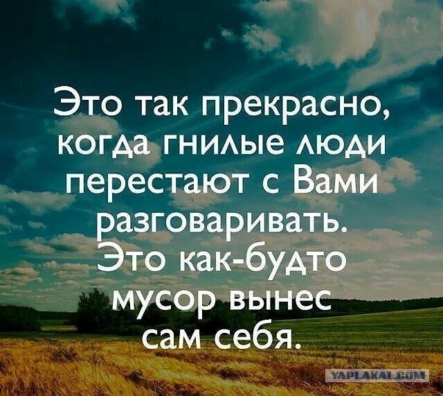 Подборка интересных и веселых картинок