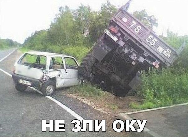 Подборка безудержного веселья