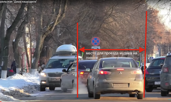 ТП в естественной среде обитания.