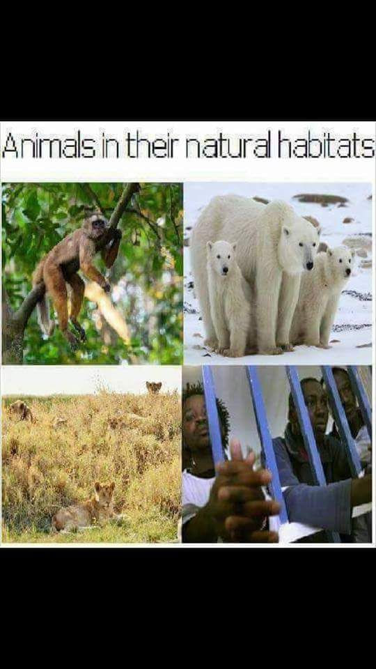 Приколы в стиле "регресс"