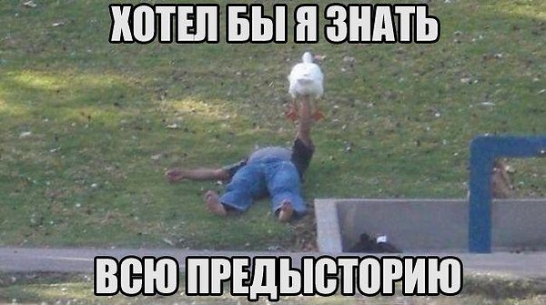 Экспериментальный чёрный юмор