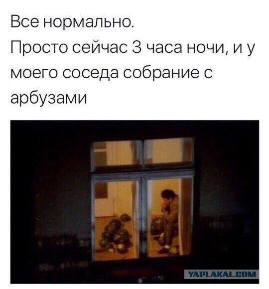 100 картинок для поднятия настроения!