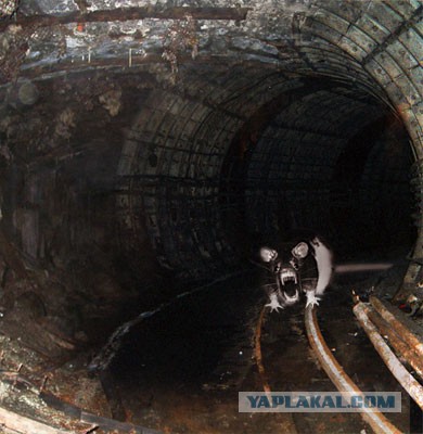 Записки машиниста метро. ч2