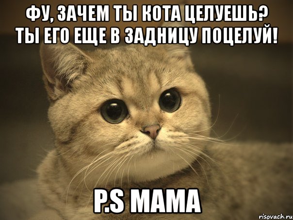Цитаты наших любимых мамочек