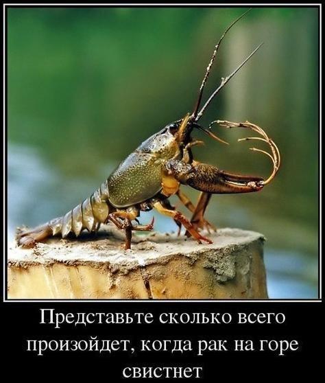 Тупик эволюции