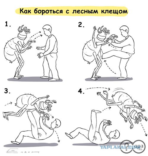 Как бороться с "попрошайками" или может кто подскажет решение вопроса?