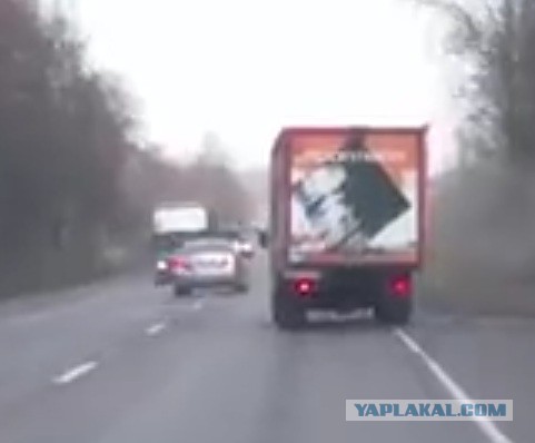 Пугливый обочечник..